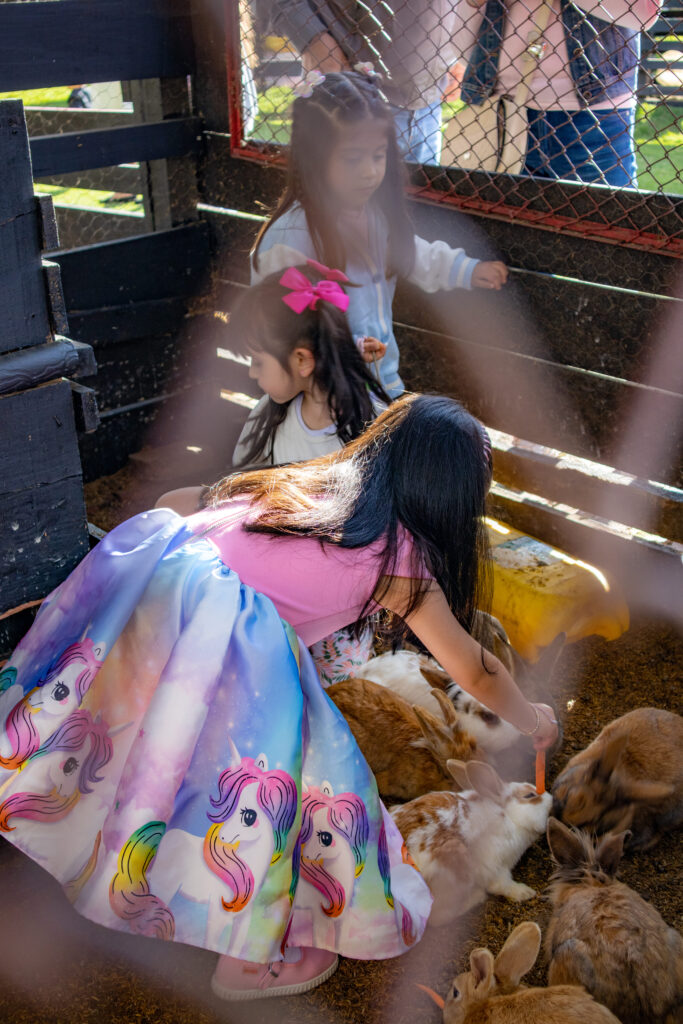 Fiestas infantiles